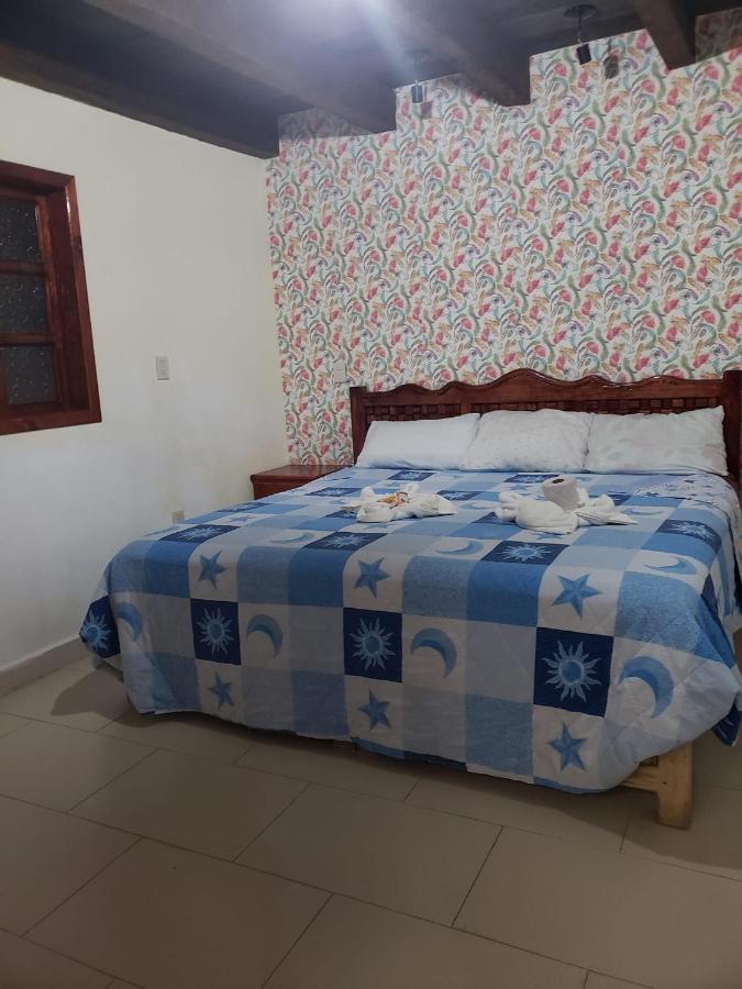 Hotel Arcos Del Carmen San Cristóbal de Las Casas 外观 照片
